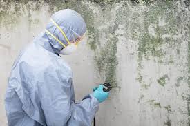 Best Real Estate Mold Inspection  in Pen Argyl, PA